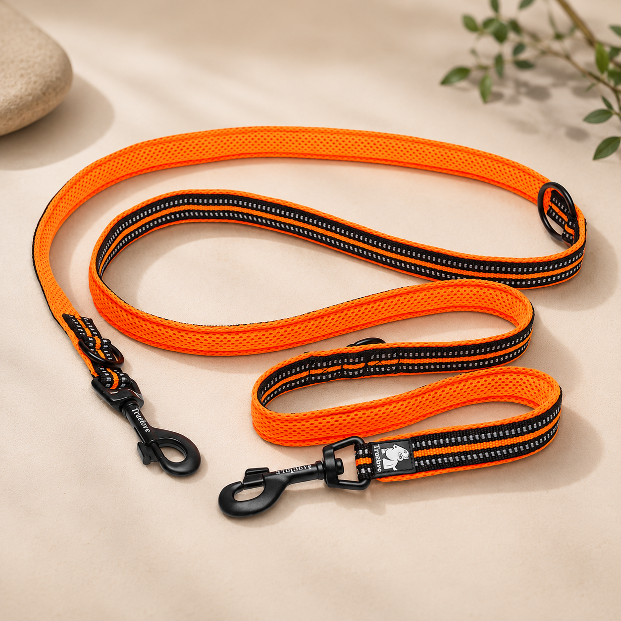 Leashes & More