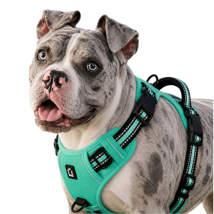 Adjustable No Pull Dog Harness