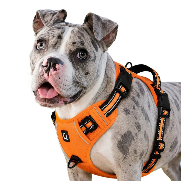 Adjustable No Pull Dog Harness