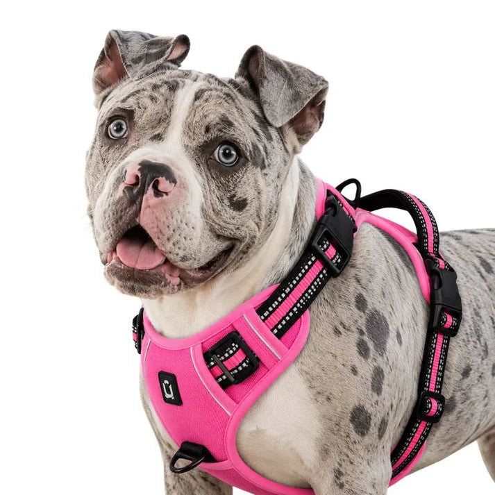Adjustable No Pull Dog Harness