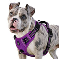 Adjustable No Pull Dog Harness