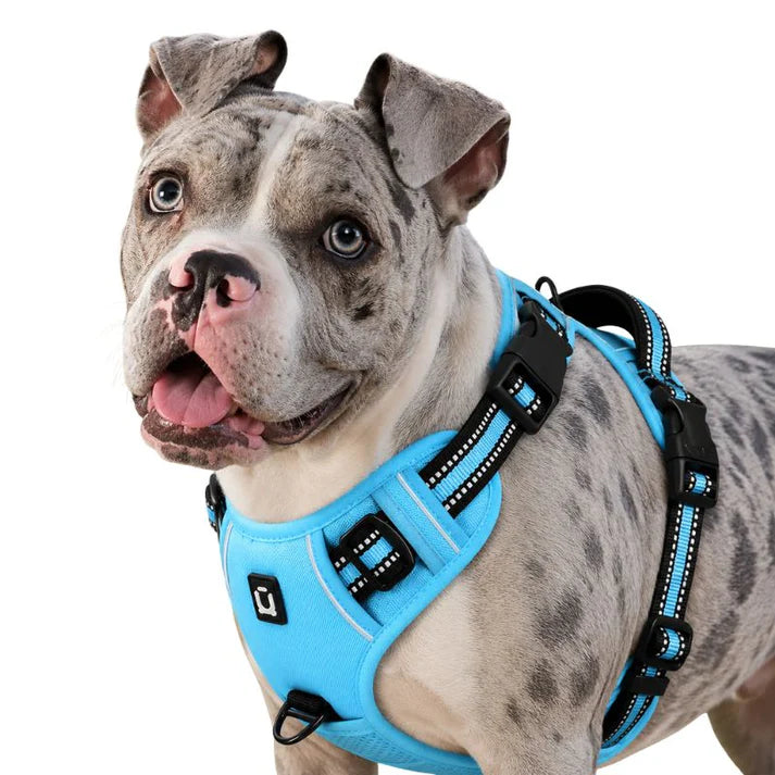 Adjustable No Pull Dog Harness