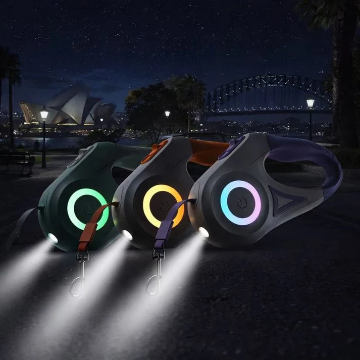 Retractable LED Dog Leash