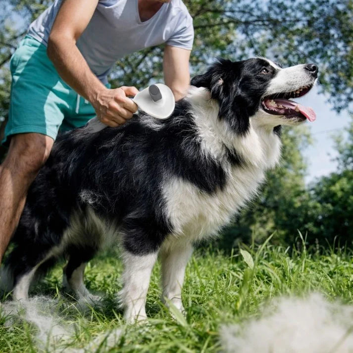 One-Click Self-Cleaning Brush for Dogs and Cats